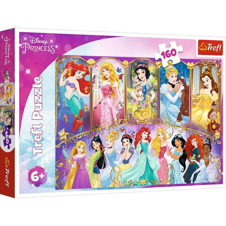 Puzzle "160"- Portrety Księżniczek/Disney Princess