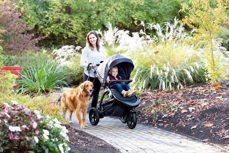 Graco Trailrider Wózek Spacerowy