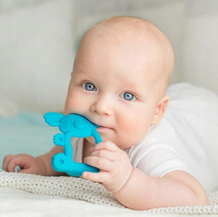 Dumel GiliGums Gryzak  Koala Turkusowy