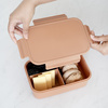 3 Sprouts Lunchbox Bento  Rust