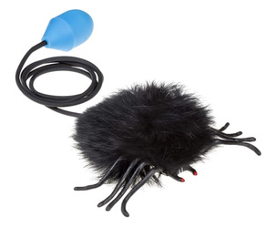 Tullo Skaczący Pająk Czarny