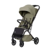 14 Indyvidual Olive