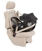 Carrello Ammonite CRL-8801 Fotelik Samochodowy 0-13kg Absolute Black