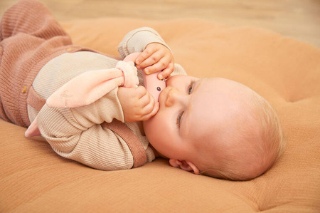 Kaloo Zestaw Prezentowy 3w1 Królik Brzoskwiniowy Kolekcja Lapinoo