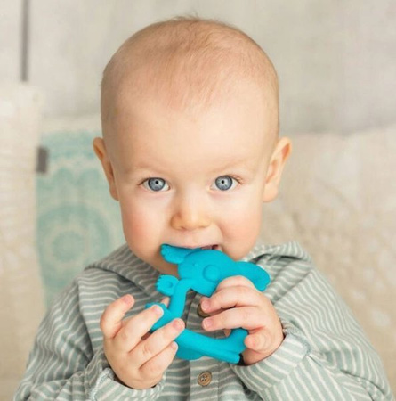 Dumel GiliGums Gryzak  Koala Turkusowy