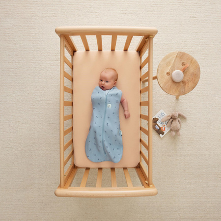 ErgoPouch Otulacz Śpiworek 3-6M 0.2TOG Dragonflies