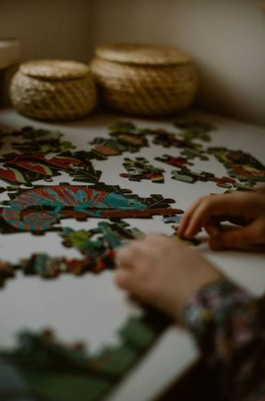 Mudpuppy Puzzle Świecące W Ciemności Żaby I Jaszczurki 100 Elementów 5+