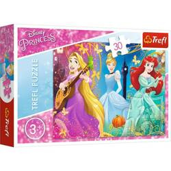 Puzzles    Enchanted melody  Disney Princess