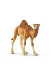 Schleich Figurka Wielbłąd Dromader