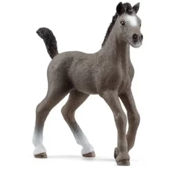 Schleich Źrebak Rasy Cheval De Selle Francais
