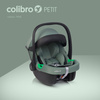 Colibro Petit Fotelik Samochodowy 0-13 kg Petit Pine