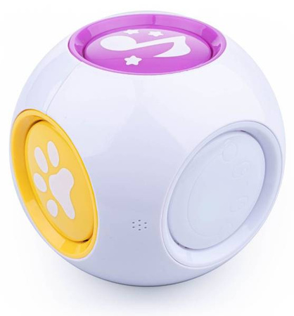 Dumel Kostka Edukatorka 6w1