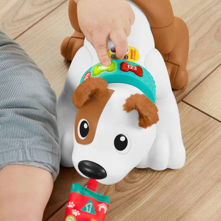 Fisher Price Edukacyjny Piesek "Raczkuj Ze Mną" HHH15