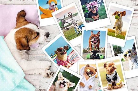 TREFL Puzzle 300 el. Zdjęcia z wakacji