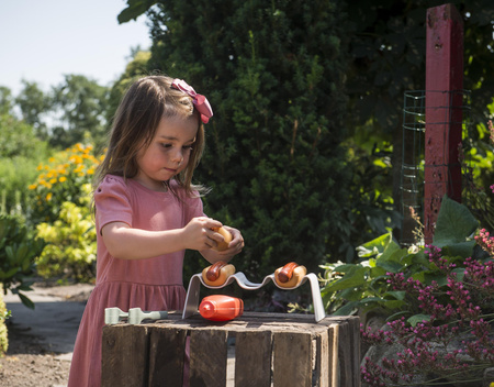 Dantoy GREEN GARDEN Zestaw do hot dogów