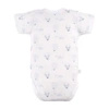 Eeevi BODY PETITE 3-PAK ZAKŁ KR BALONY R. 50