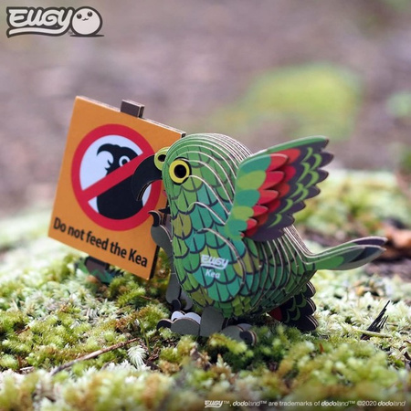 Eugy Eko 3D Układanka Papuga Kea