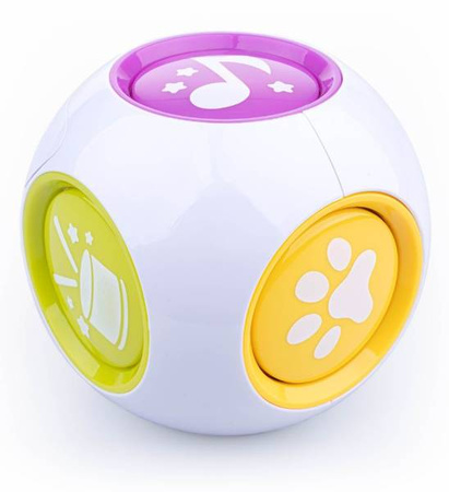 Dumel Kostka Edukatorka 6w1