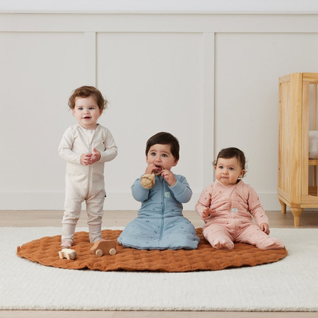 ErgoPouch Śpiworek Jersey z Rękawami 3-12M 1.0TOG Dragonflies