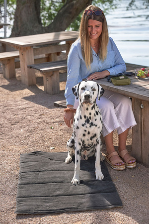 Palopa Mata dla Psa Alma Anthracite S