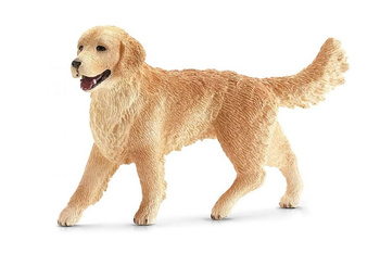 SCHLEIN SUCZKA RETIEVER