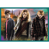 Trefl Harry Potter Puzzle 10w1 W Świecie Harrego Pottera