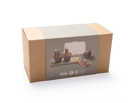 Dantoy GREEN GARDEN Mini szklarnia z roślinami