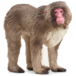 Schleich Wild Life Makak Japoński 14871