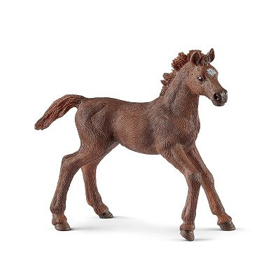 Schleich - Cielę pełnej krwi angielskiej