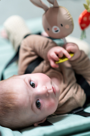 Taf Toys Muzyczny Pałąk z Króliczkiem – Zabawa i Rozwój w Podróży