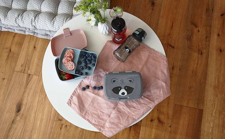 Lassig  Zestaw Do Lunchbox + Tritanowa Butelka Bidon 460 ml Szop