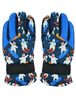 Chłopięce Narciarz