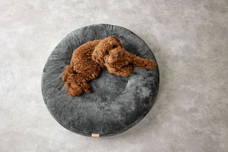 Palopa Donut Okrągłe Legowisko dla Psa Fippa Anthracite M-L