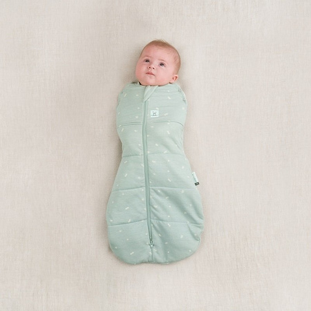 ErgoPouch Otulacz Śpiworek 3-6M 2.5TOG Sage