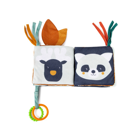 Little Big Friends Pierwszaw Książeczka Las