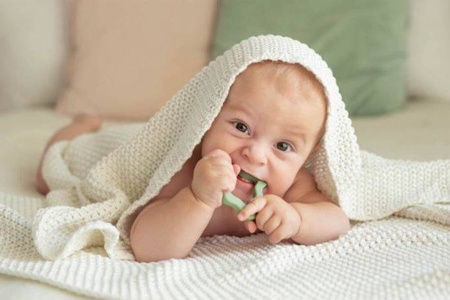 Dumel Gryzak Dla Dzieci Jabłko