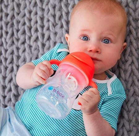 B.Box Innowacyjny Bidon Ze Słomką Malinowy