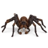  Schleich Harry Potter - Aragog 13987