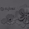 Cybex Priam 2.0 Tapicerka Siedziska Simply Flowers Dream Grey