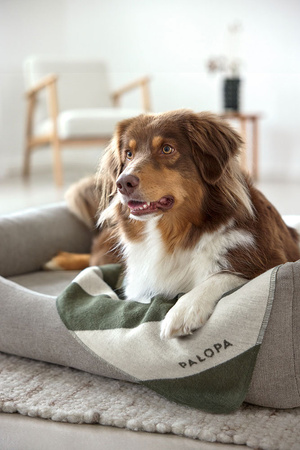 PALOPA Kocyk dla psa Ida M paski dark green