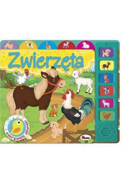 AWM Książeczka Odkrywam Dźwięki Zwierzęta