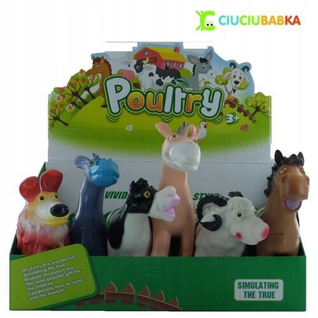 Ciuciubabka Zwierzęta Domowe Duże Gumowe