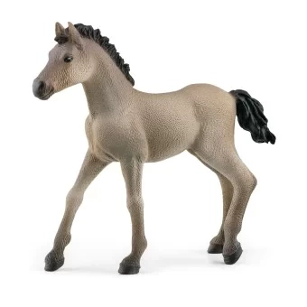 Schleich Criollo Definitivo, Źrebię
