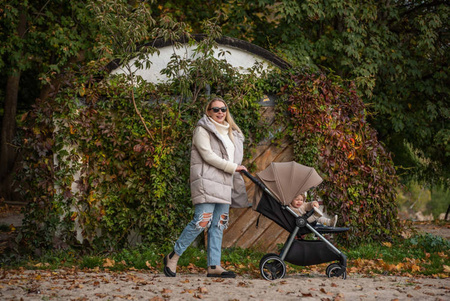 [OUTLET] Espiro Wave Wózek Spacerowy 319 Timeless Rapsody