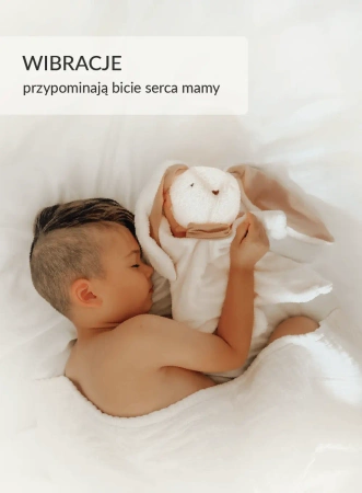 Szumisie Dou Dou Szumiąca Przytulanka 5w1 z Lampką Miś