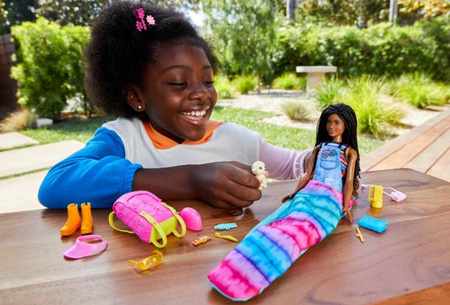 Barbie Kemping Brooklyn Lalka z Akcesoriami HDF74 Brooklyn HDF74