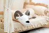 SenLove Poduszka Wałek Ochraniacz do Łóżka Baranek