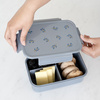 3 Sprouts Lunchbox Bento  Blueberry Blue