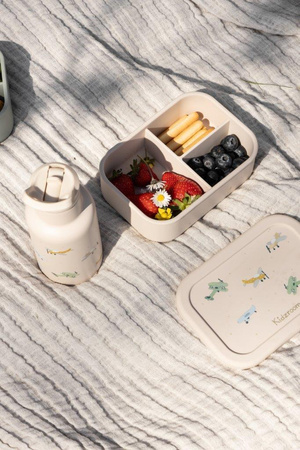 Kidzroom Lunchbox pojemnik silikon Small Aeroplane