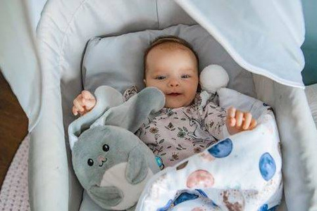 Szumisie Szumiący Królik Miluś 5 Szumów + Kołysanki + Muzyka Klasyczna Szary